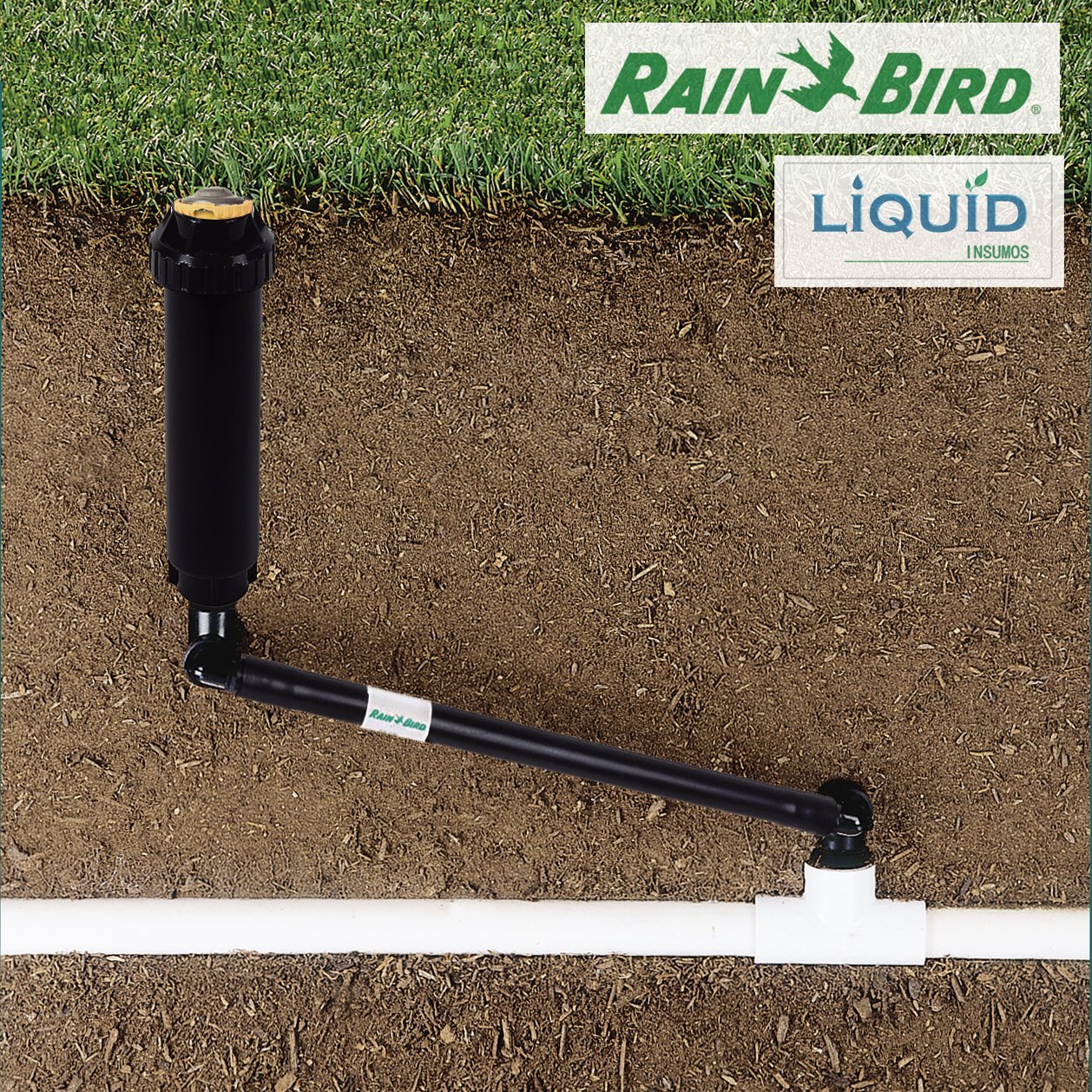 Boquilla rotativa Rain Bird R-VAN instalada